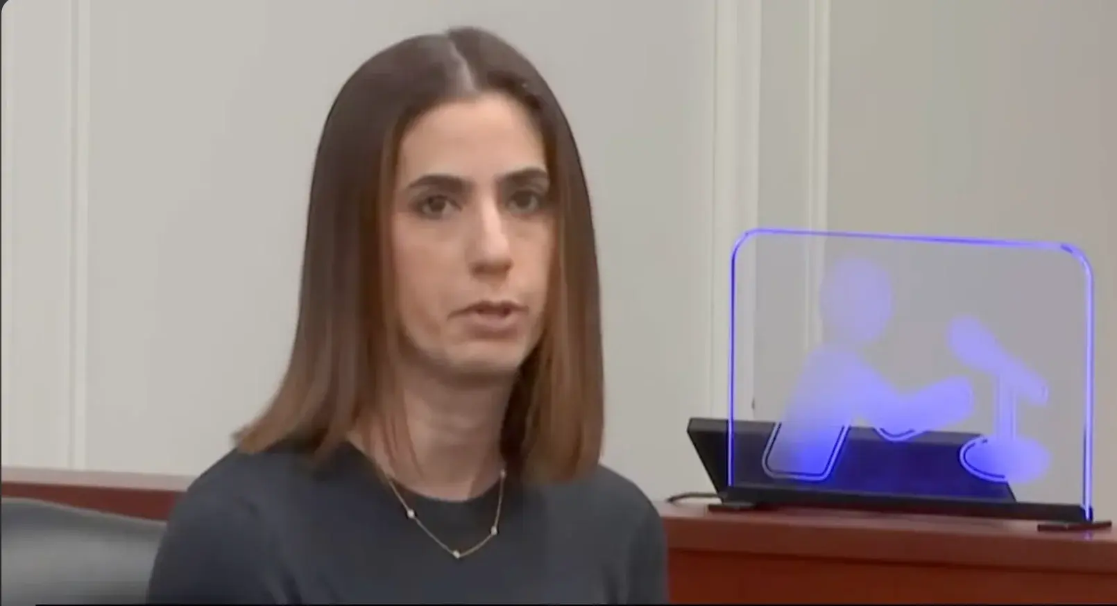 NJ v. Paul Caneiro - Neighbor Testimony